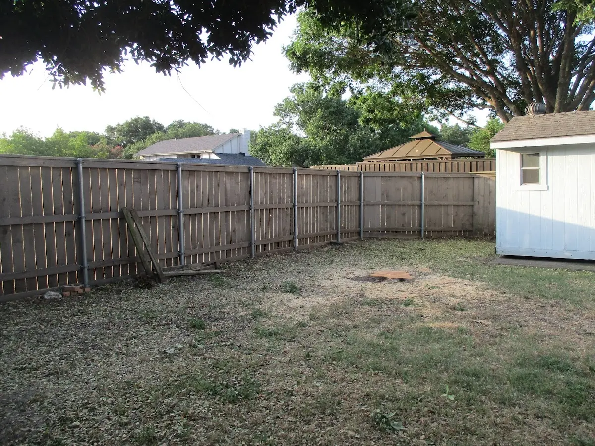 Cleared yard after professional tree removal in Midway